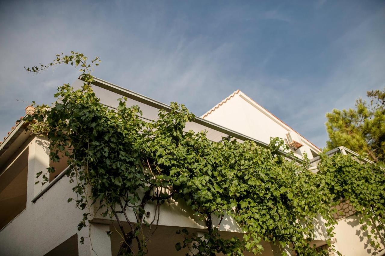 Guesthouse Sime 콜란 외부 사진